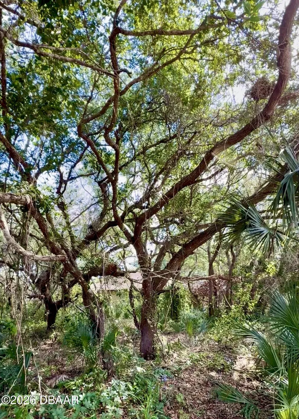 82 Calumet Avenue Ponce Inlet, FL 32127