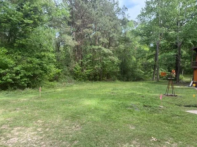 34 Gov Latham Circle Point Blank, TX 77364