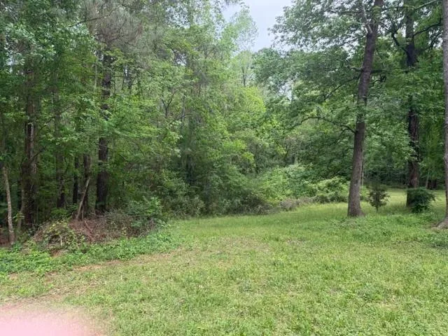 34 Gov Latham Circle Point Blank, TX 77364