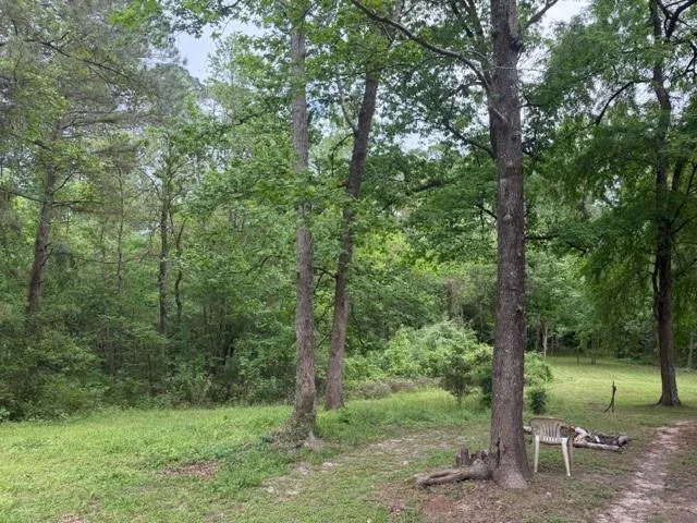 34 Gov Latham Circle Point Blank, TX 77364