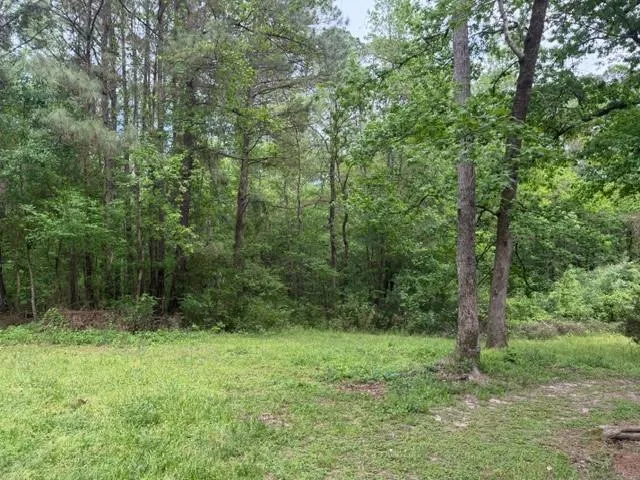 34 Gov Latham Circle Point Blank, TX 77364