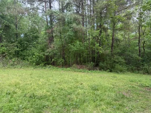 34 Gov Latham Circle Point Blank, TX 77364