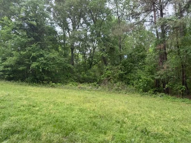 34 Gov Latham Circle Point Blank, TX 77364