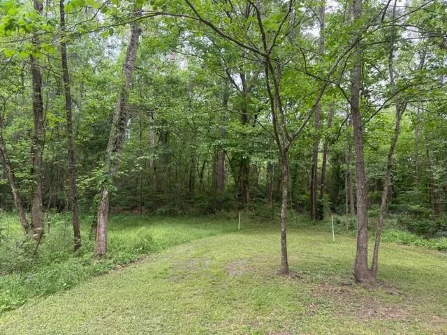 34 Gov Latham Circle Point Blank, TX 77364