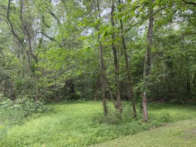 34 Gov Latham Circle Point Blank, TX 77364