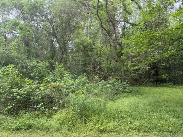 34 Gov Latham Circle Point Blank, TX 77364