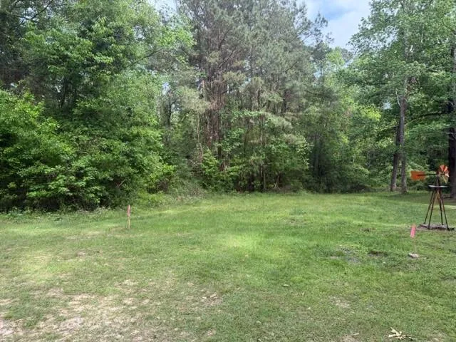 34 Gov Latham Circle Point Blank, TX 77364