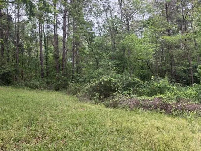 34 Gov Latham Circle Point Blank, TX 77364