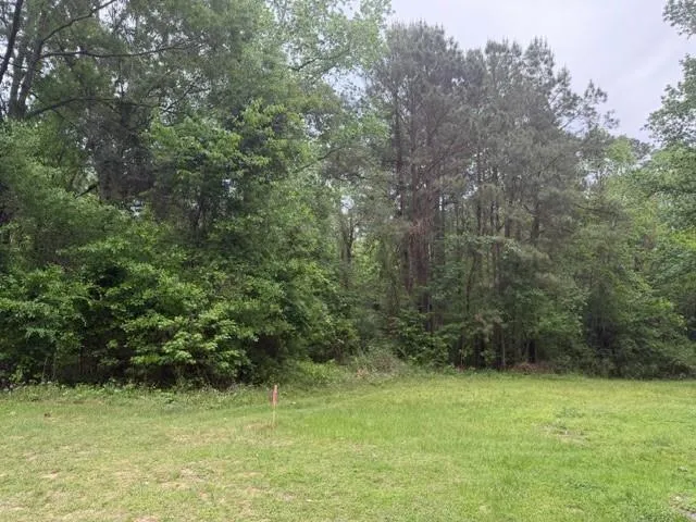 34 Gov Latham Circle Point Blank, TX 77364