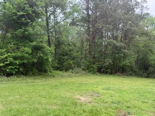 34 Gov Latham Circle Point Blank, TX 77364