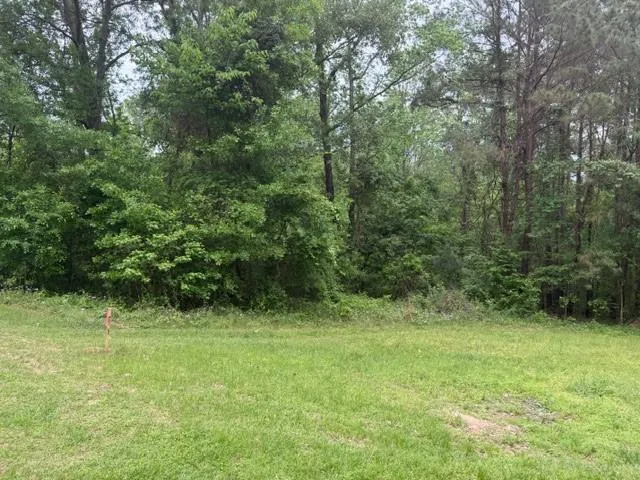 34 Gov Latham Circle Point Blank, TX 77364