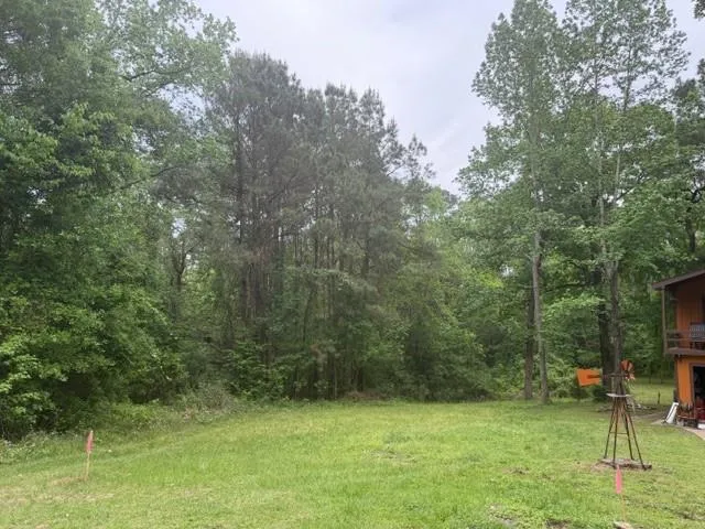 34 Gov Latham Circle Point Blank, TX 77364