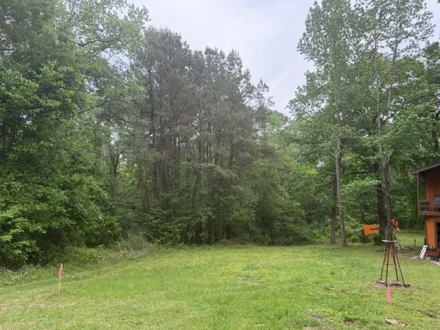 34 Gov Latham Circle Point Blank, TX 77364