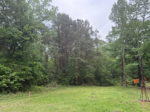 34 Gov Latham Circle Point Blank, TX 77364