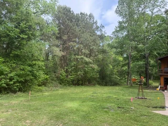 34 Gov Latham Circle Point Blank, TX 77364
