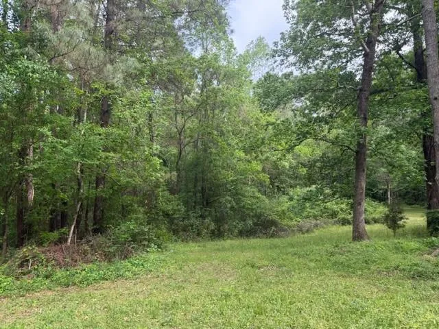 34 Gov Latham Circle Point Blank, TX 77364