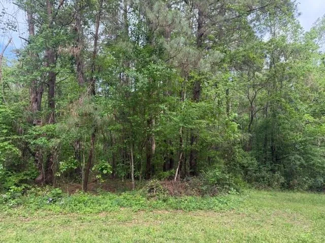 34 Gov Latham Circle Point Blank, TX 77364