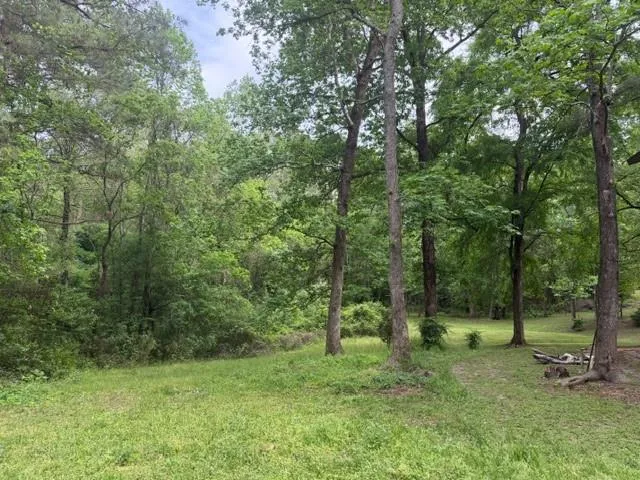 34 Gov Latham Circle Point Blank, TX 77364