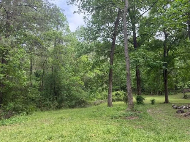 34 Gov Latham Circle Point Blank, TX 77364