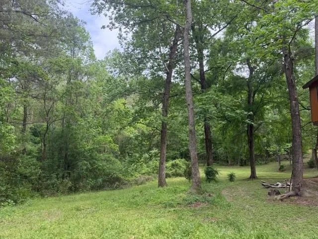 34 Gov Latham Circle Point Blank, TX 77364