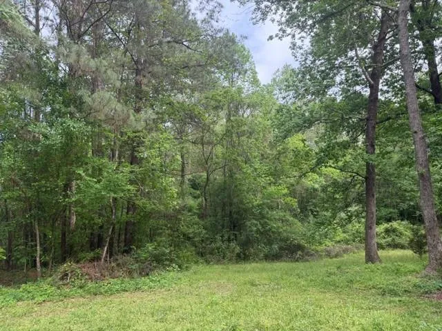 34 Gov Latham Circle Point Blank, TX 77364
