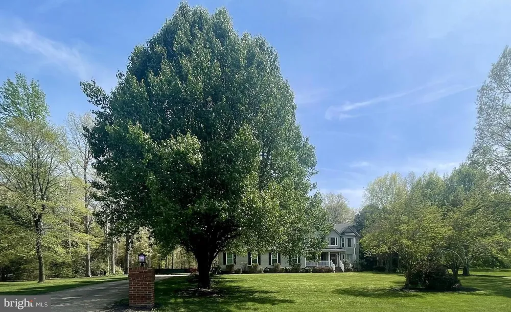 8125 LEE JACKSON CIRCLE Spotsylvania, VA 22553