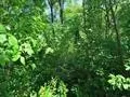 1023 S Peach Avenue Tyler, TX 75701