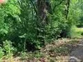 1023 S Peach Avenue Tyler, TX 75701