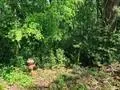 1023 S Peach Avenue Tyler, TX 75701