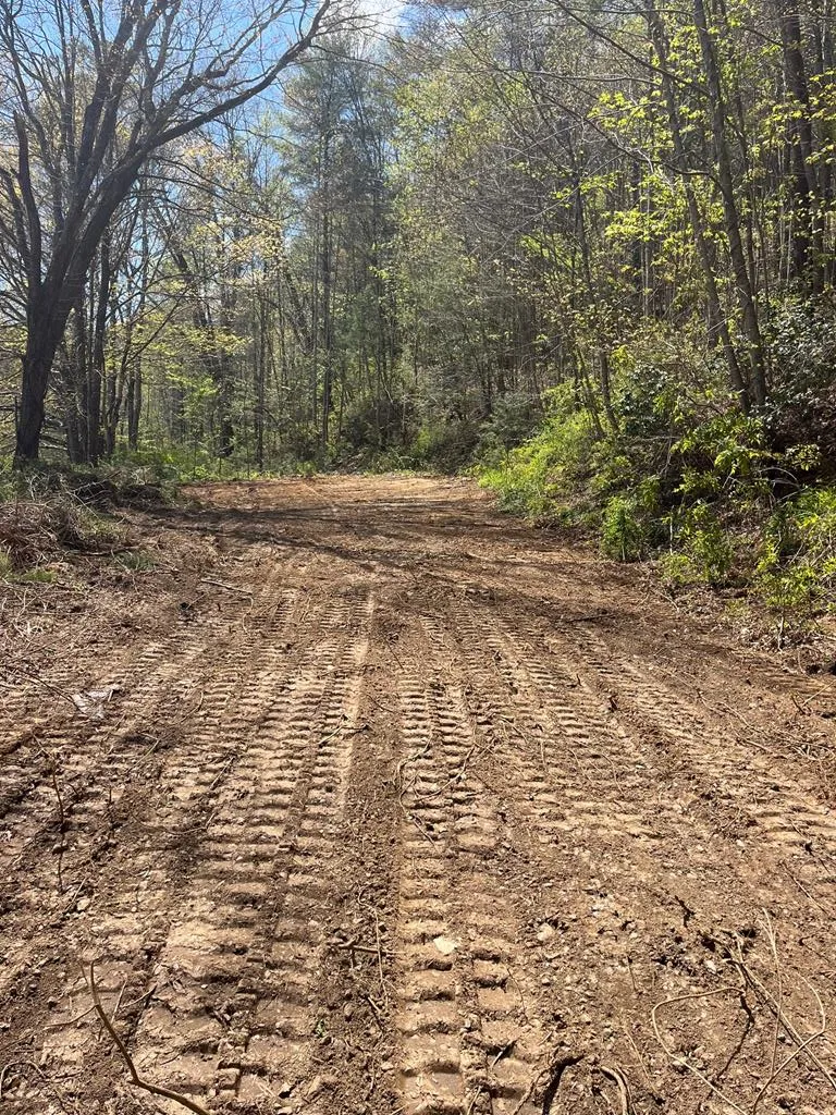Atoah Road Robbinsville, NC 28771