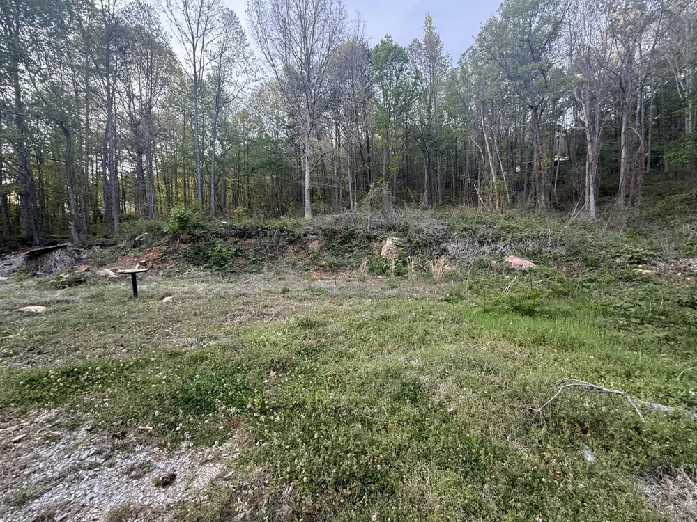 475 Hicks Hollow Road Guild, TN 37340