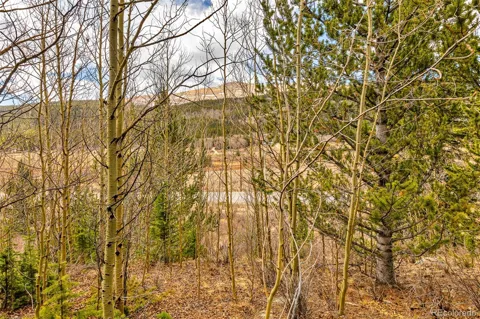 55780 Highway 9