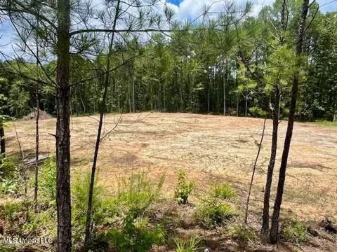 278 Poplar Springs Road