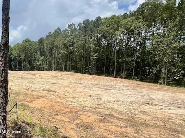 278 Poplar Springs Road Mendenhall, MS 39114
