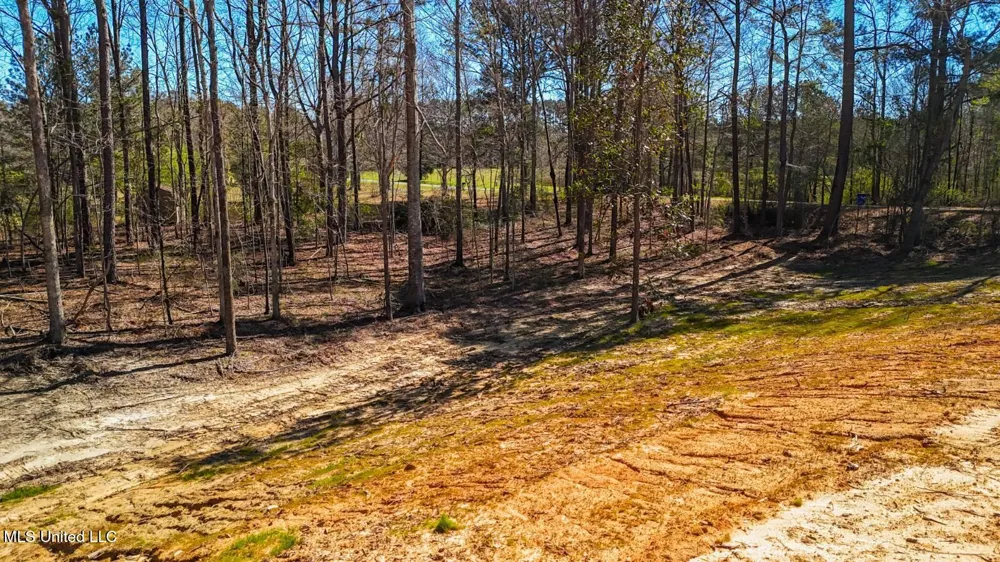278 Poplar Springs Road Mendenhall, MS 39114