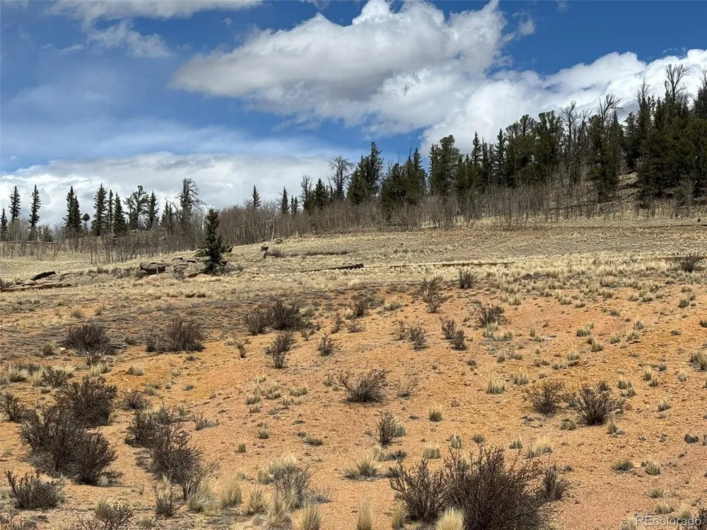 1472 W Longbow Drive Como, CO 80432