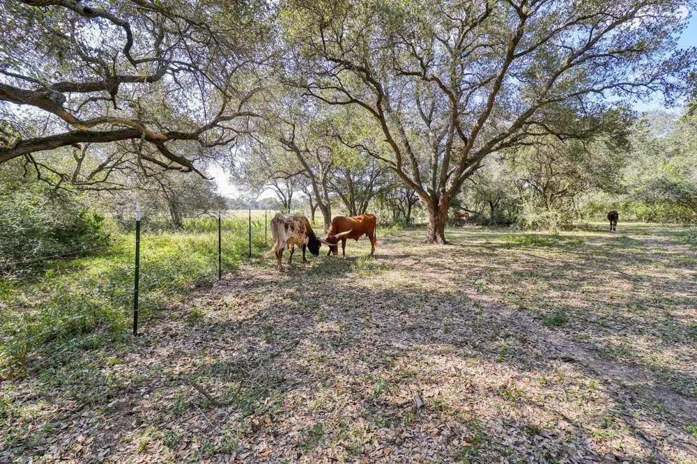 Hwy 90 Rock Island, TX 77470