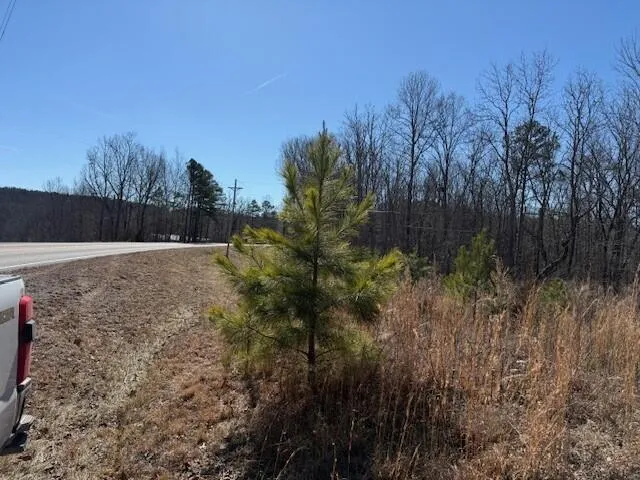 10385 S Pittsburg Mountain Road South Pittsburg, TN 37380