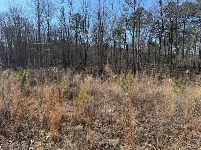 10385 S Pittsburg Mountain Road South Pittsburg, TN 37380