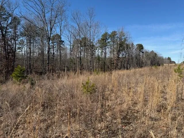 10385 S Pittsburg Mountain Road South Pittsburg, TN 37380
