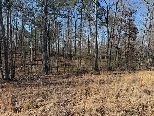 10385 S Pittsburg Mountain Road South Pittsburg, TN 37380