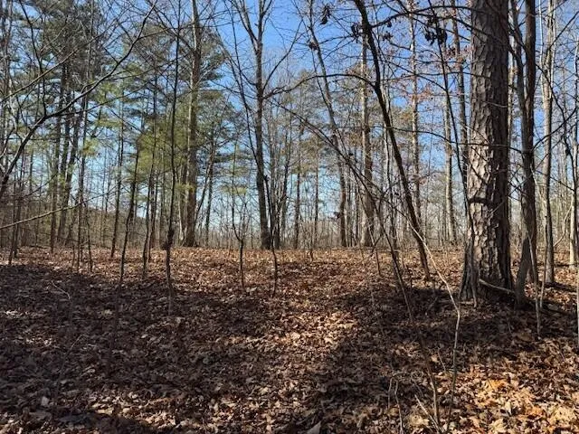 10385 S Pittsburg Mountain Road South Pittsburg, TN 37380