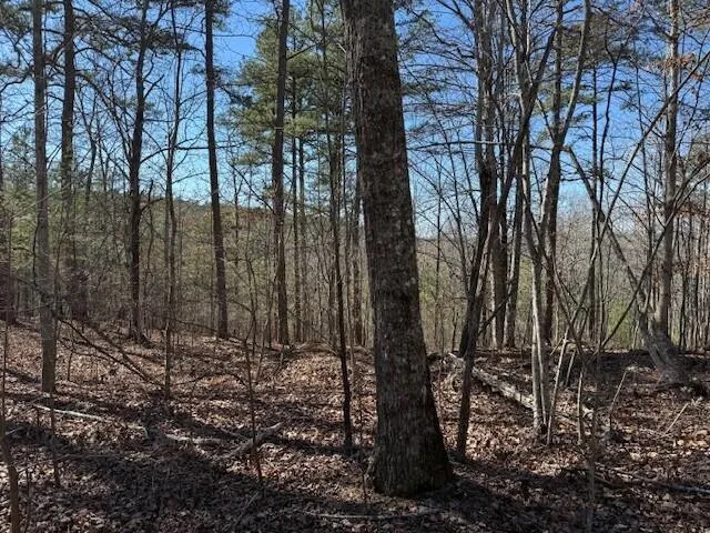 10385 S Pittsburg Mountain Road South Pittsburg, TN 37380