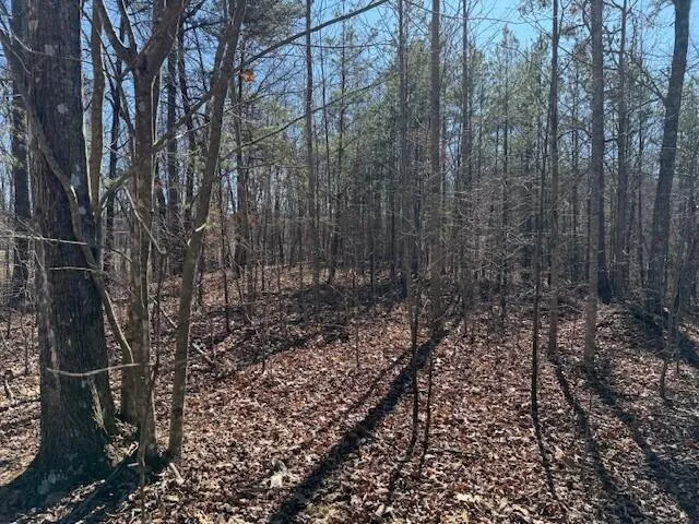 10385 S Pittsburg Mountain Road South Pittsburg, TN 37380
