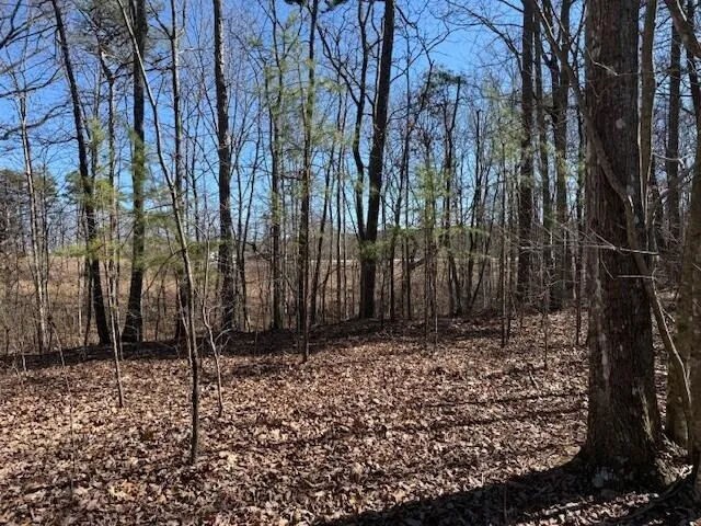 10385 S Pittsburg Mountain Road South Pittsburg, TN 37380