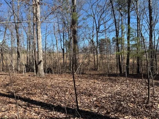 10385 S Pittsburg Mountain Road South Pittsburg, TN 37380