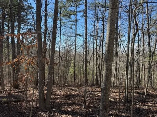 10385 S Pittsburg Mountain Road South Pittsburg, TN 37380