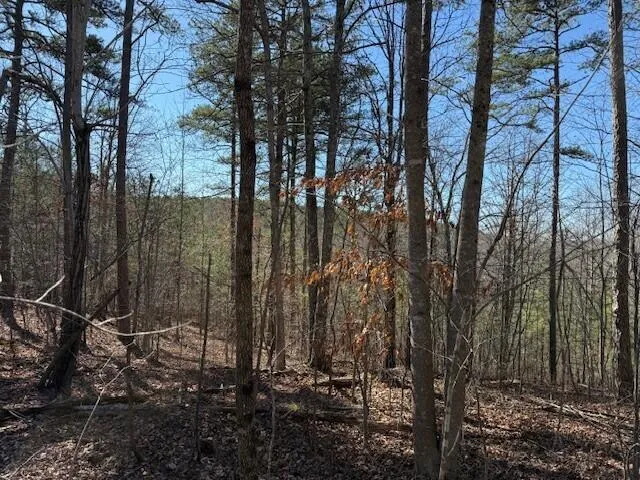10385 S Pittsburg Mountain Road South Pittsburg, TN 37380