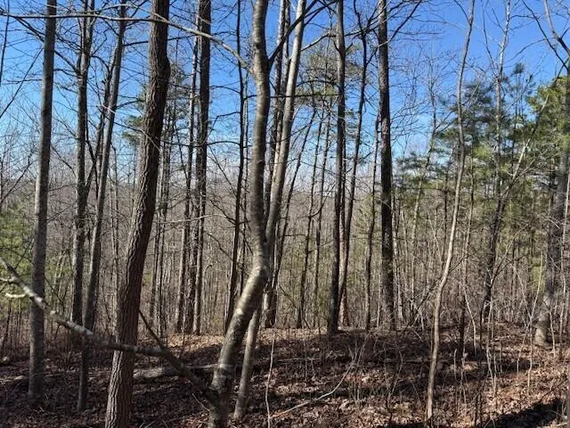 10385 S Pittsburg Mountain Road South Pittsburg, TN 37380