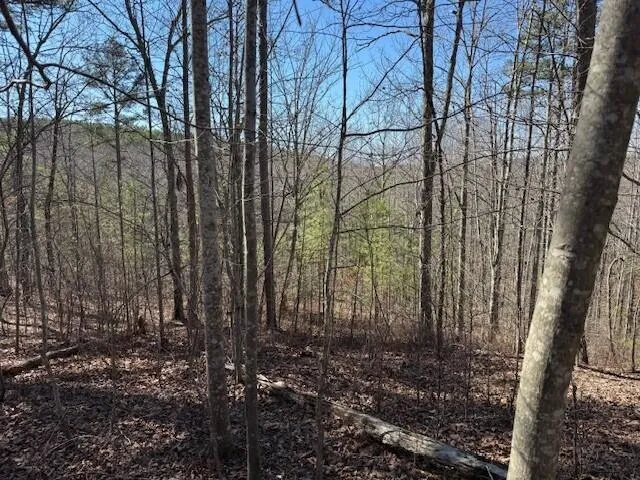 10385 S Pittsburg Mountain Road South Pittsburg, TN 37380